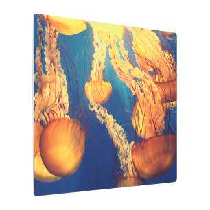 Liberen su creatividad con el mejor arte Metalizad