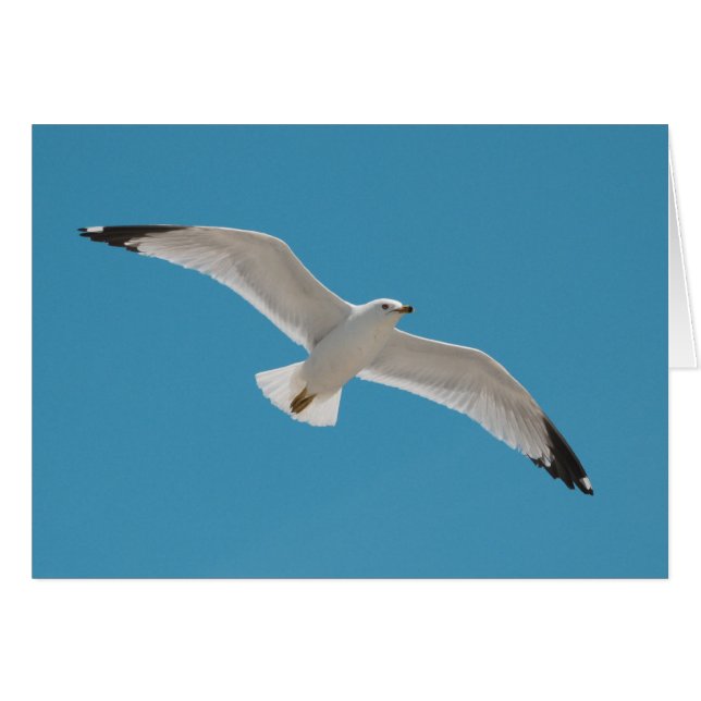 Libertad (Anverso (Horizontal))