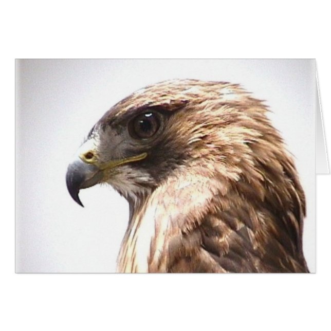 Libertad (Anverso (Horizontal))