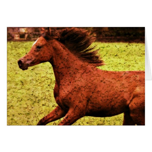 Libertad (Anverso (Horizontal))