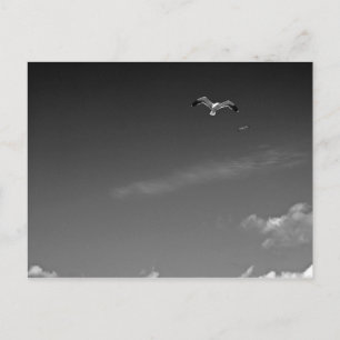 Libertad en la postal BW