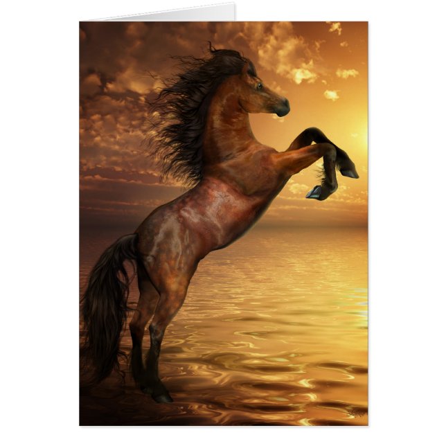 Libertad que alza el caballo salvaje (Frente)