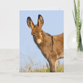 "Libre para vagar" - Tarjeta de felicitación