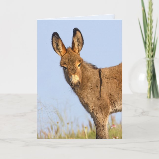 "Libre para vagar" - Tarjeta de felicitación (Anverso)