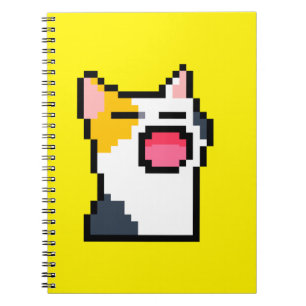 libreta c