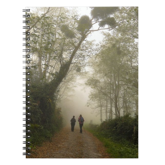 Libreta con espiral - Camino con muérdago (Frente)