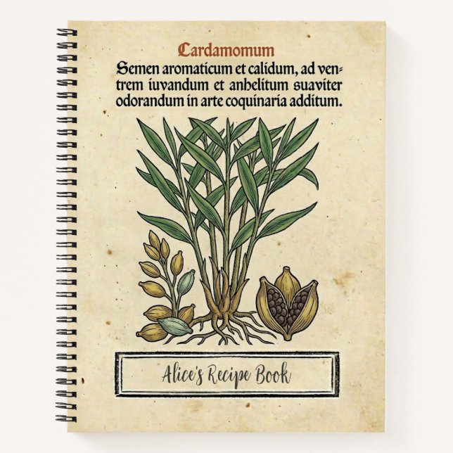 Libreta de Recetas Botánicas Medievales de Cardamo (Anverso)