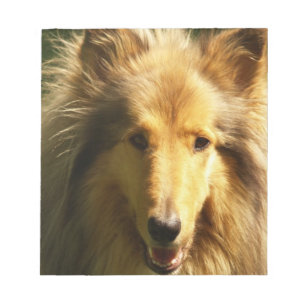 Libreta del collie del Lassie