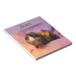 Libreta del conejillo de Indias