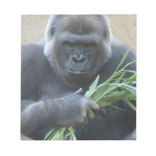 Libreta del gorila del Silverback