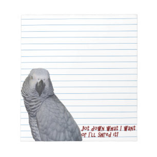 Libreta del gris africano de Congo pequeña