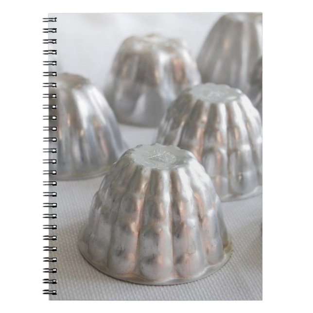 Libreta del molde de Dariole del vintage (Frente)