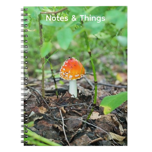 Libreta del pequeño hongo del bosque (Frente)