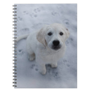 Libreta del perrito del golden retriever