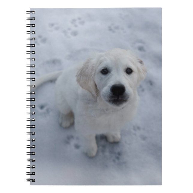 Libreta del perrito del golden retriever (Frente)