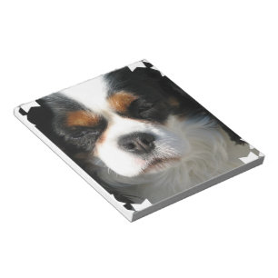 Libreta del perro de aguas de rey Charles