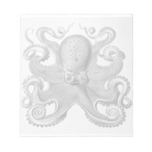 Libreta del pulpo de Haeckel
