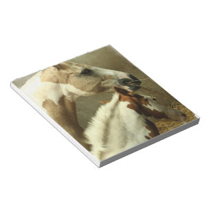 Libreta gris del caballo de Eventing