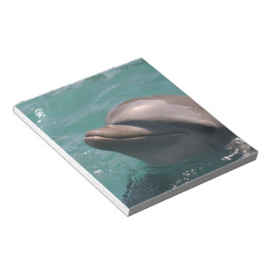 Libreta linda del delfín