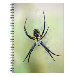Libreta negra y amarilla de la araña de jardín del