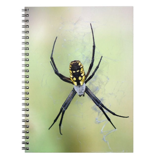 Libreta negra y amarilla de la araña de jardín del (Frente)