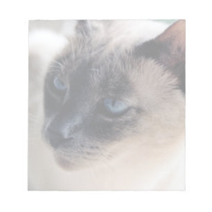 Libreta reservada del gato siamés