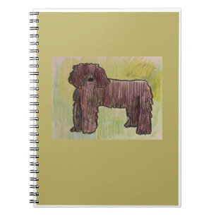 Libretas de Bassie