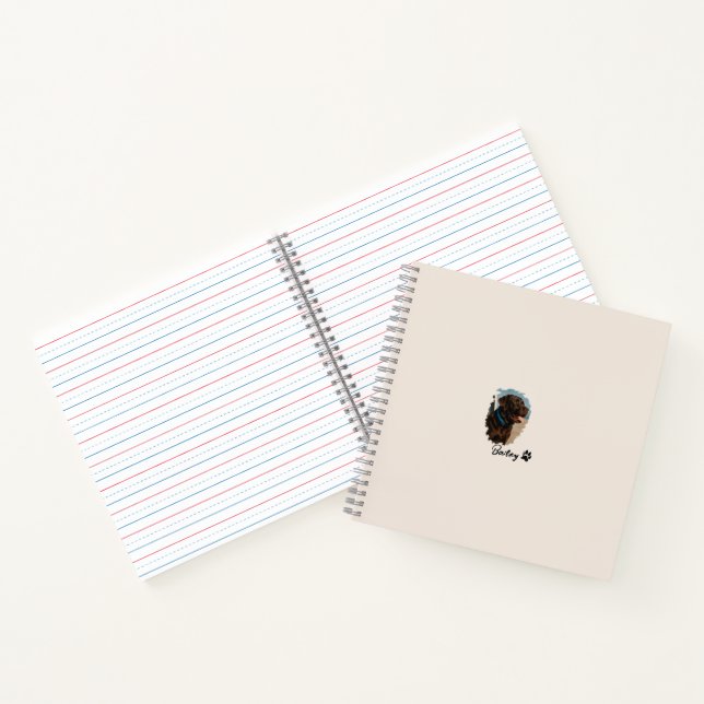 Libretas de notas de marca y recargables (Interior)