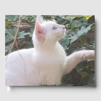 libro blanco invitado