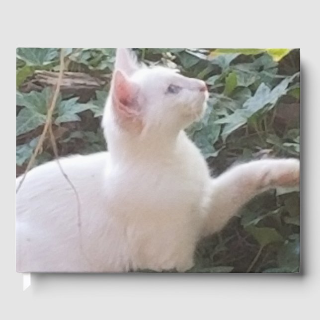 libro blanco invitado (Anverso)