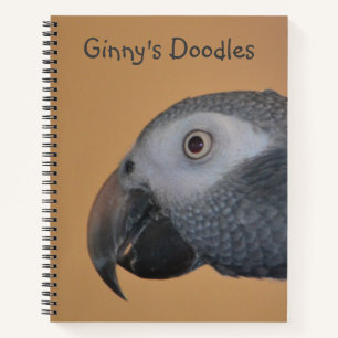 Libro de bocetos del loro amistoso