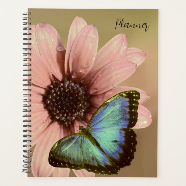 Libro de calendario planificador de mariposa (Anverso)