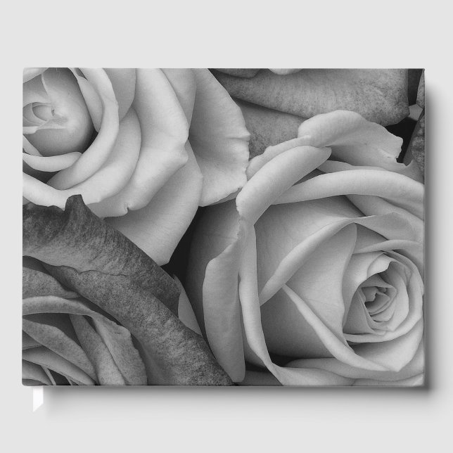 Libro de invitados (Anverso)