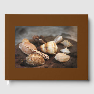 Libro de invitados sobre las conchas marinas