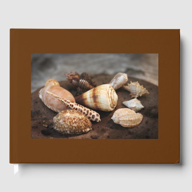 Libro de invitados sobre las conchas marinas (Anverso)