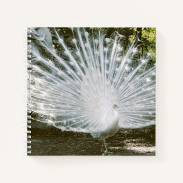 Libro de notas sobre el Peacock Blanco