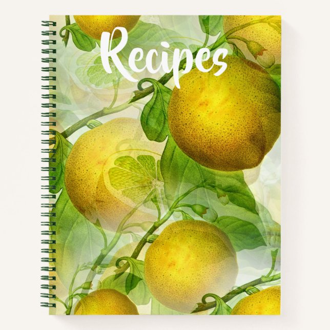 Libro de recetas de los Lemones Amarillos (Anverso)