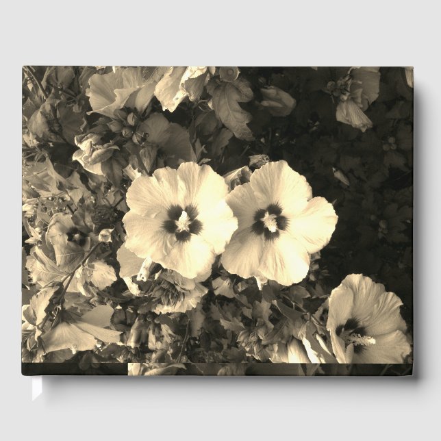 Libro de visitas (Anverso)