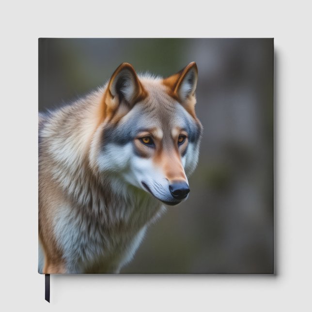 Libro de visitas (Anverso)