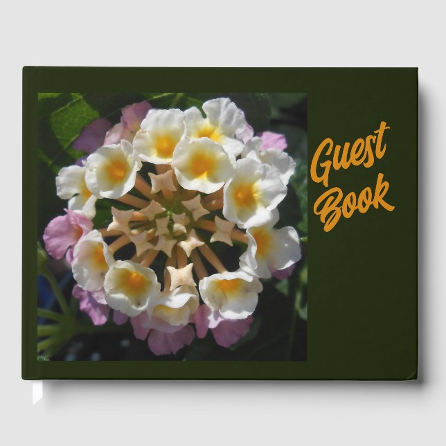 Libro De Visitas Adelaparre (Anverso)