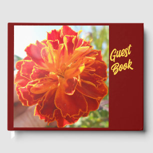 Libro De Visitas Anastaise