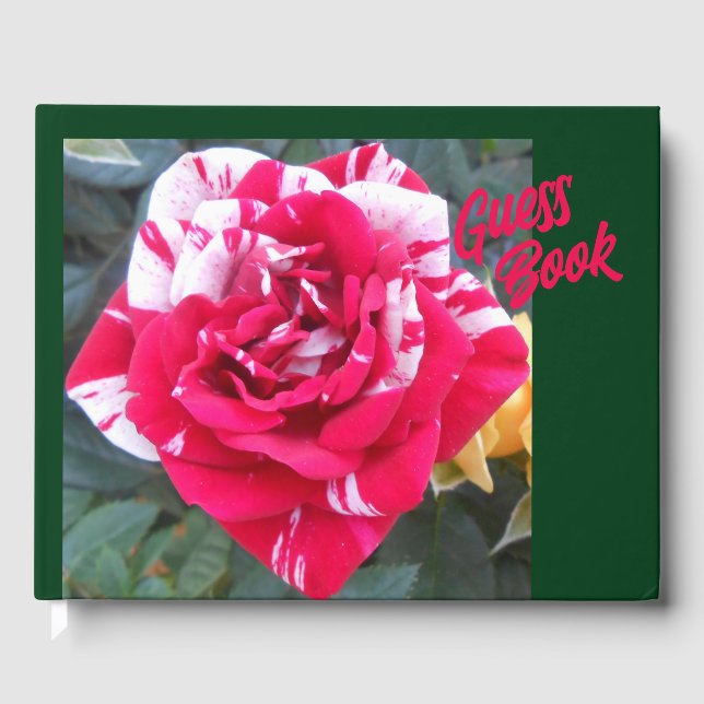 Libro De Visitas Anicia (Anverso)