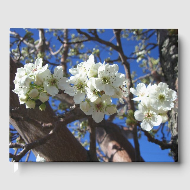 Libro De Visitas Árbol de peras florido de primavera de los Cluster (Anverso)
