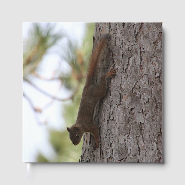 Libro De Visitas ardilla boca abajo (Anverso)