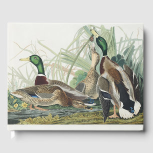 Libro De Visitas Arte de vida silvestre de pato silbón de Audubon v