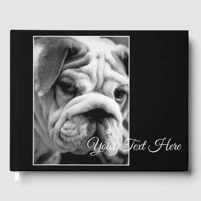 Libro De Visitas Aspecto sucio (Anverso)