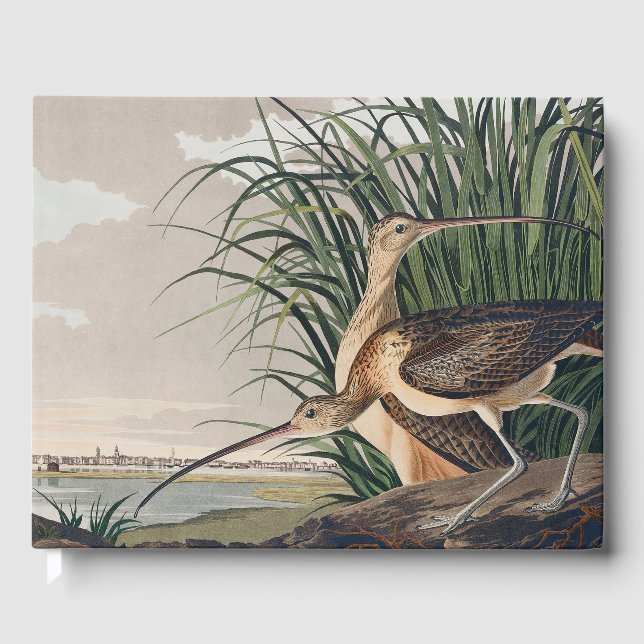 Libro De Visitas Ave Audubon (Anverso)