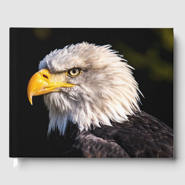 Libro De Visitas Bald Eagle (Anverso)