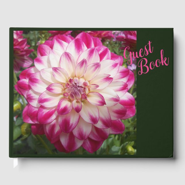 Libro De Visitas Beaux (Anverso)
