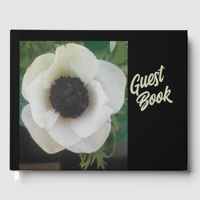 Libro De Visitas Blanchard (Anverso)